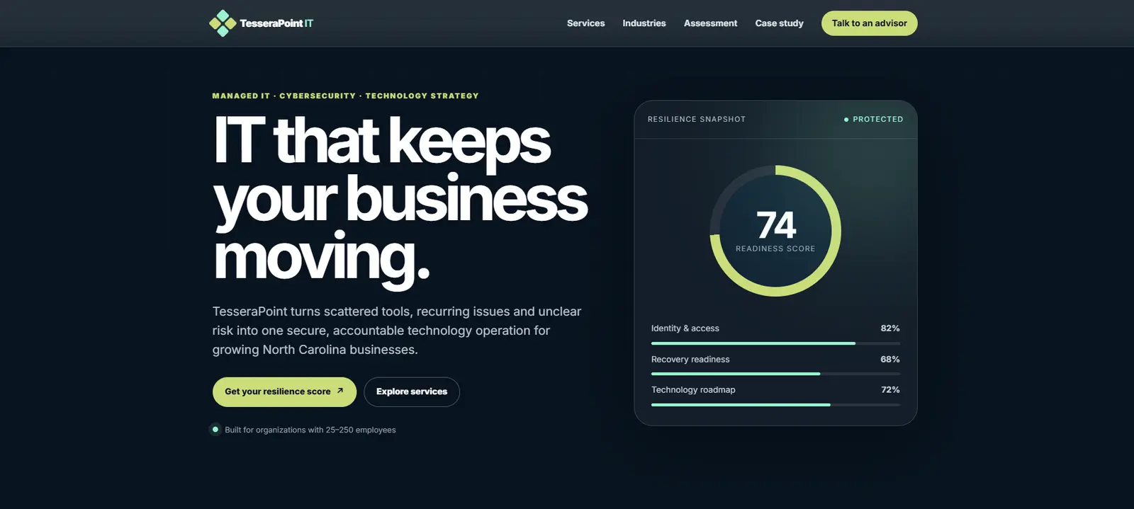 TesseraPoint website after the redesign concept